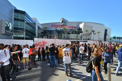 DSC_7109 (Large).JPG